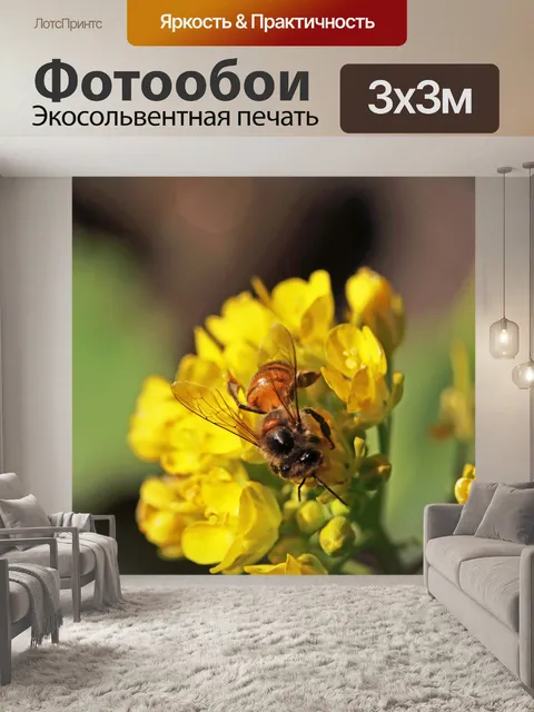 Фотообои пчела на желтых цветках бок-чой
