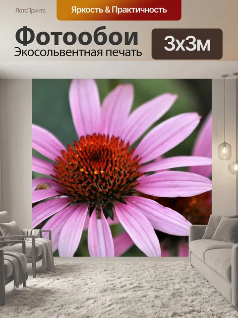 Фотообои Розовый конус и боке