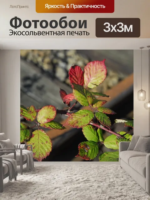 Фотообои Живая изгородь