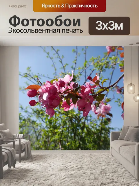 Фотообои Расцветает