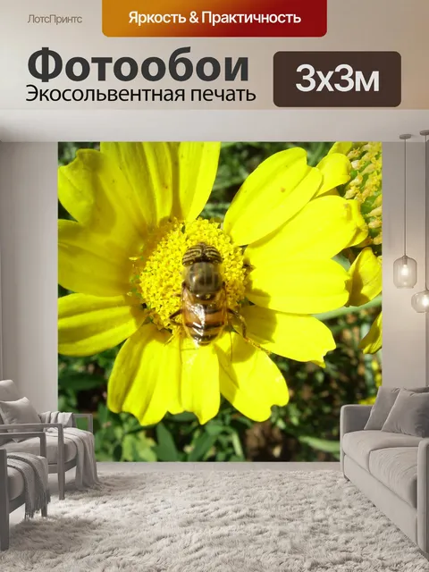 Фотообои Пчела на ромашку
