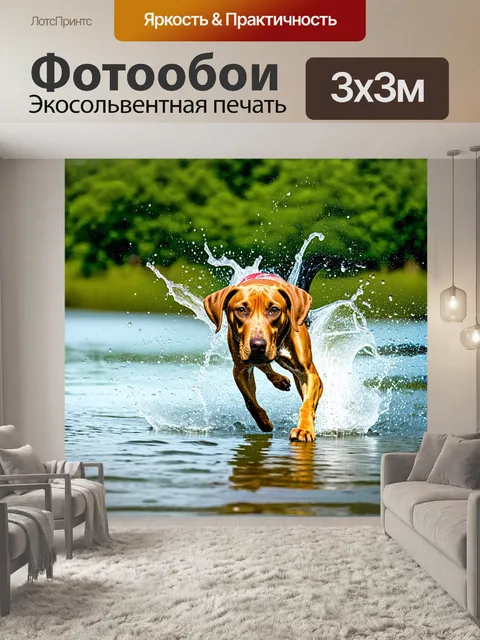 Фотообои родезийский риджбек, играющий в водоеме, брызги воды поднимаются в воздух, когда собака ныряет