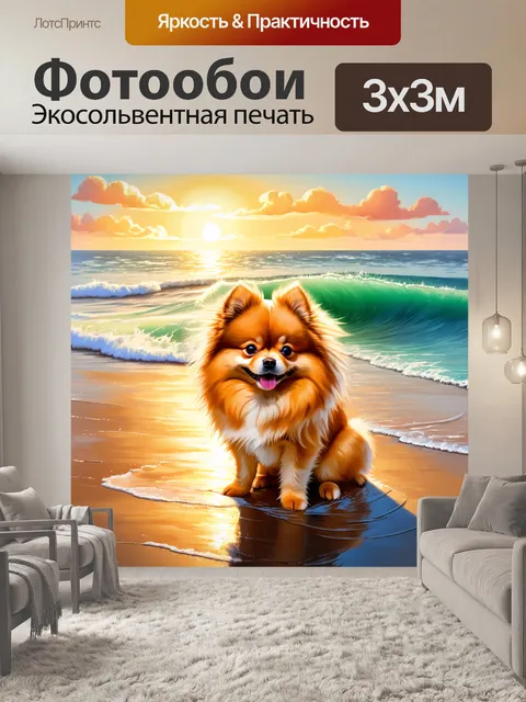 Фотообои на берегу моря, в лучах заката, померанский шпиц сидит, внимательно смотря на прибой