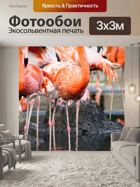 Фотообои Зоопарк