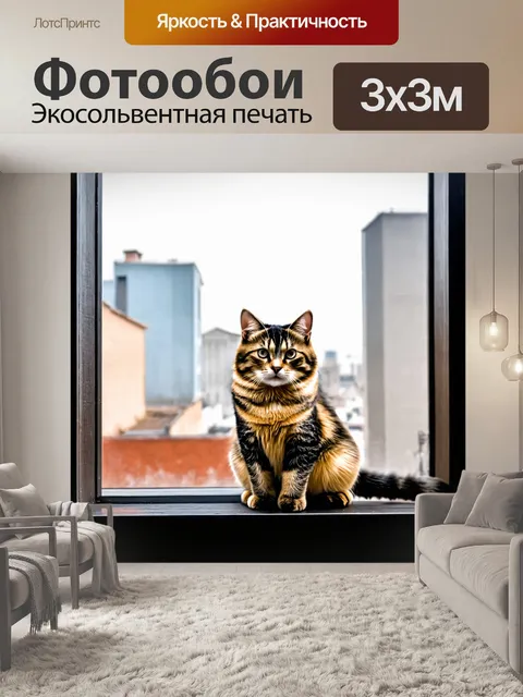 Фотообои кошка, сидящая на окне с видом на город