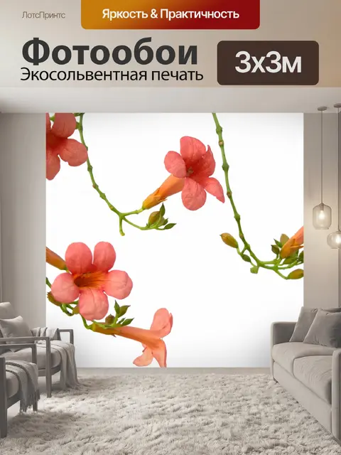 Фотообои Цветы в трубе