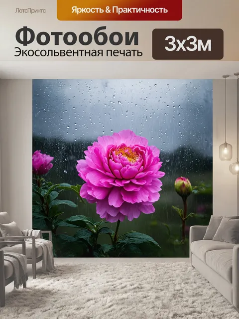 Фотообои нежный розовый пион раскрывается под проливным дождём