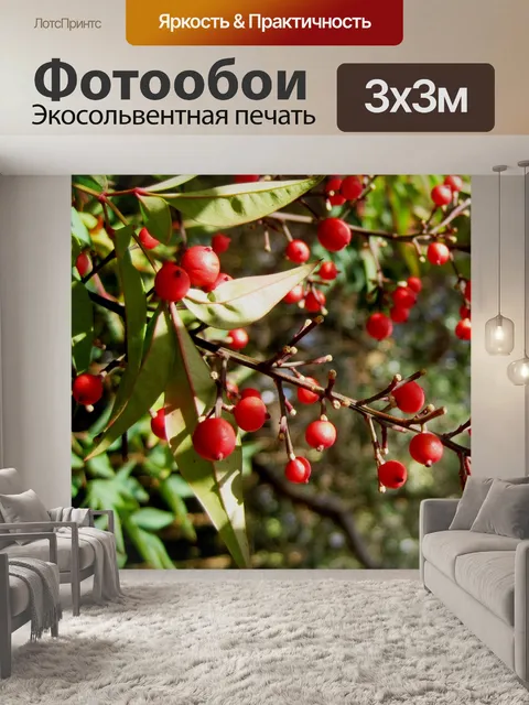 Фотообои красные ягоды на святое бамбука