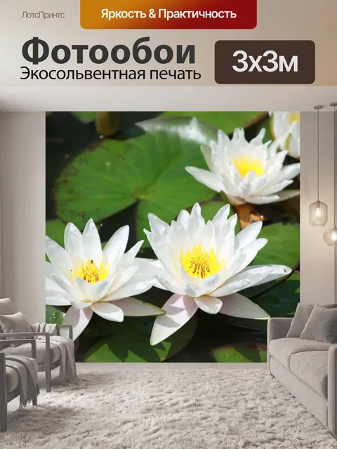 Фотообои Водяная лилия