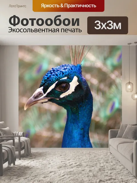 Фотообои Павлин