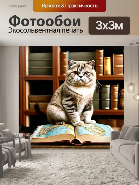 Фотообои шотландская вислоухая, сидящая на старом глобусе, с открытой книгой карт рядом