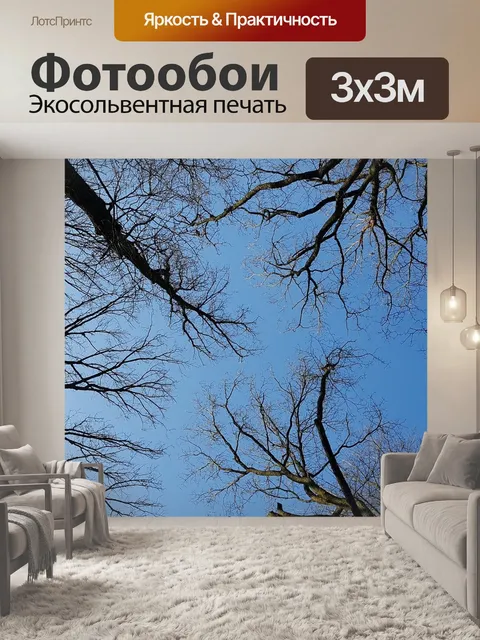 Фотообои Голубое небо