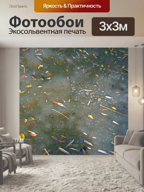 Фотообои листья, плавающие в мутной воде