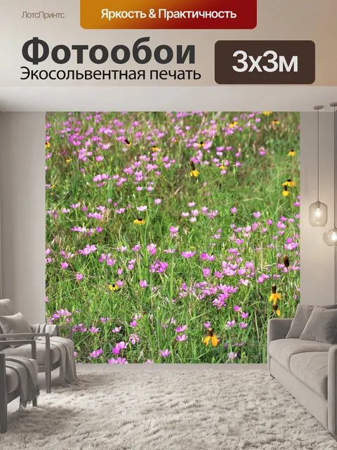 Фотообои Поле весенних полевых цветов