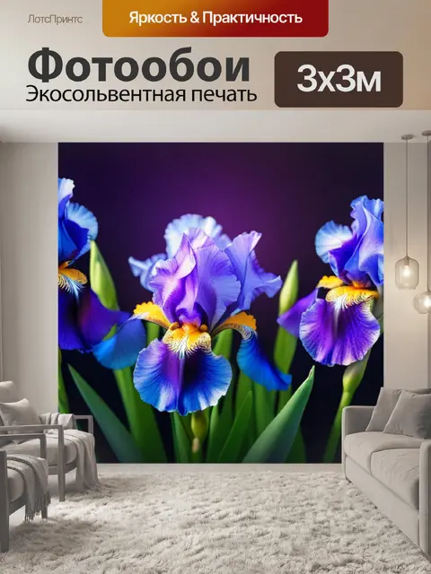 Фотообои с ирисами