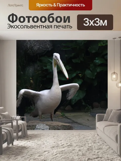 Фотообои большой белый пеликан и приподнятые крыл