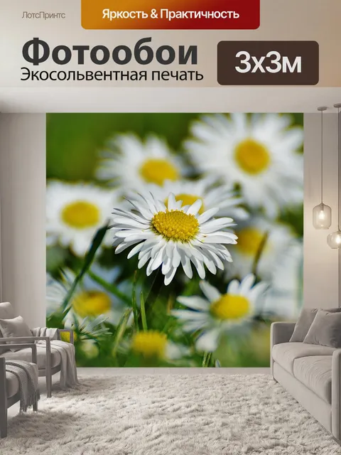 Фотообои Весенний луг