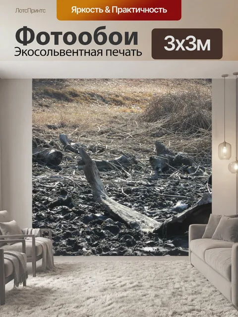 Фотообои Riverbed в Засуха 3