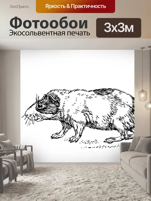 Фотообои Guinea Pig Иллюстрация Клипарт