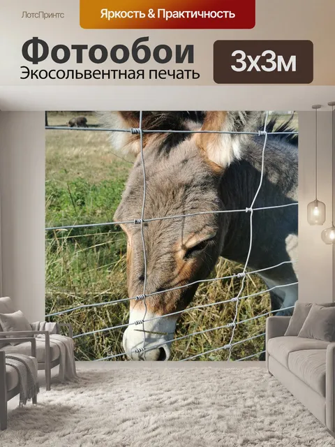 Фотообои Животное
