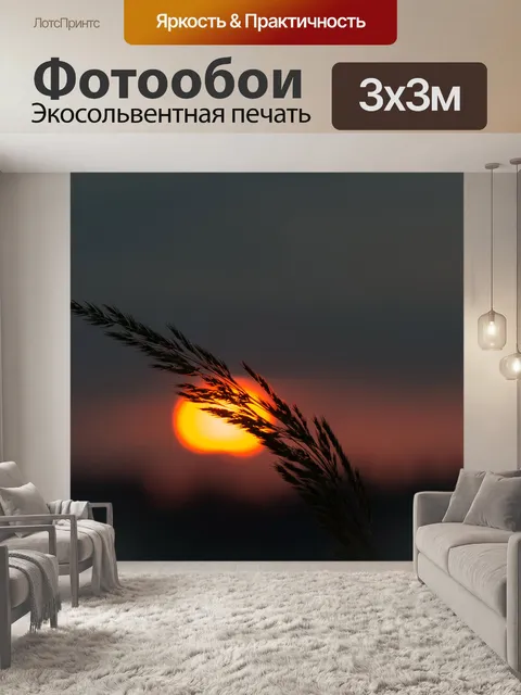 Фотообои Восход солнца