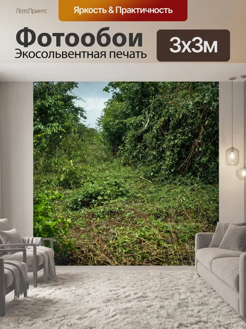 Фотообои постапокалиптический мир, заросший растительностью