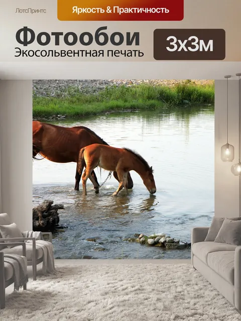 Фотообои Лошади