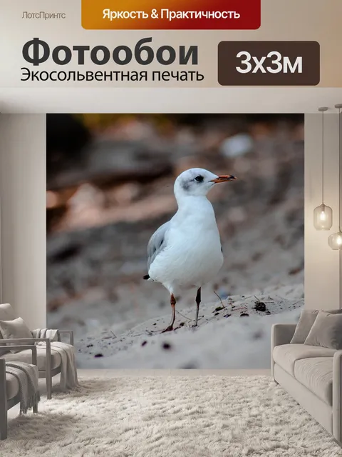 Фотообои Птицы