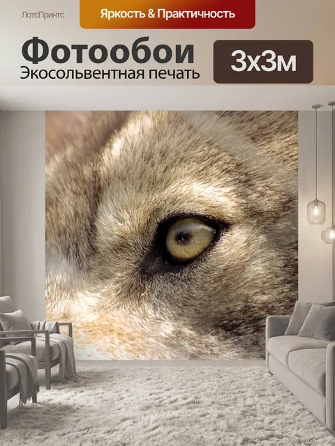 Фотообои Волк