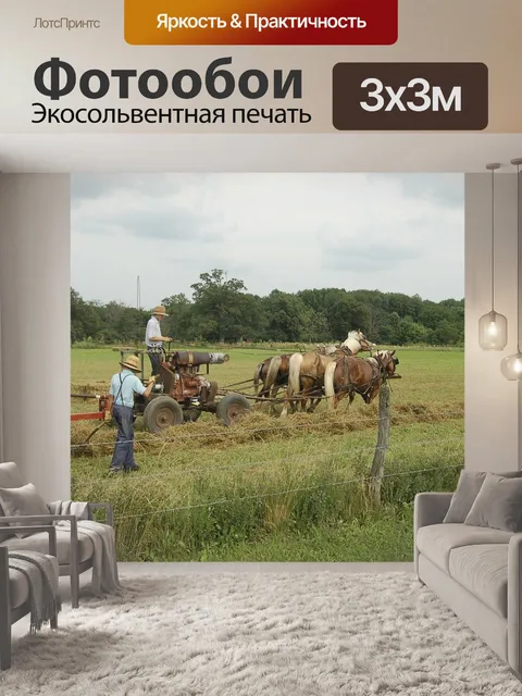 Фотообои Амиш