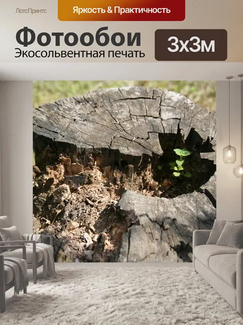 Фотообои Природа