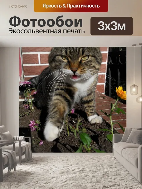Фотообои Анимированный
