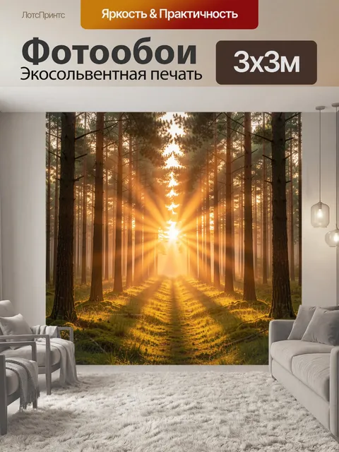 Фотообои Солнечный лесной просвет