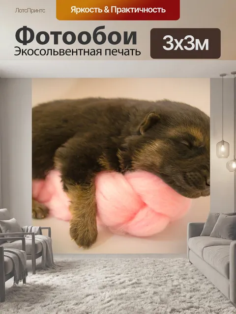 Фотообои Щенок