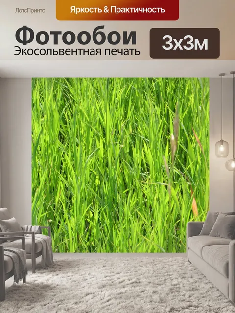 Фотообои Зеленая трава