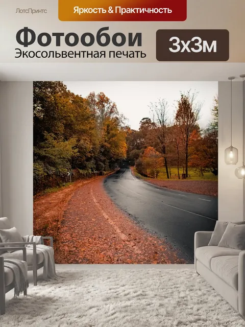 Фотообои Дорога