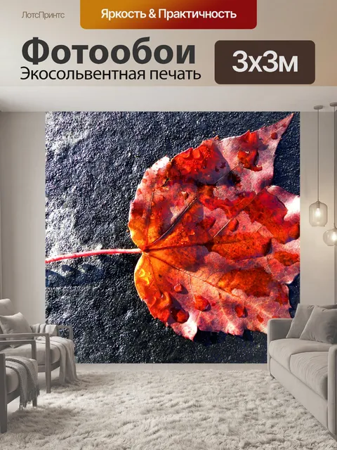 Фотообои Оранжевый лист черном фоне