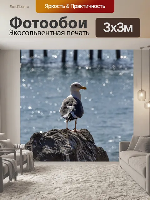Фотообои Чайка на скале