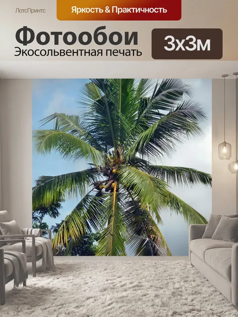 Фотообои Кокос