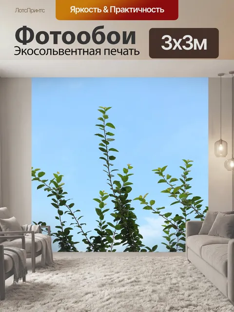 Фотообои Голубое небо