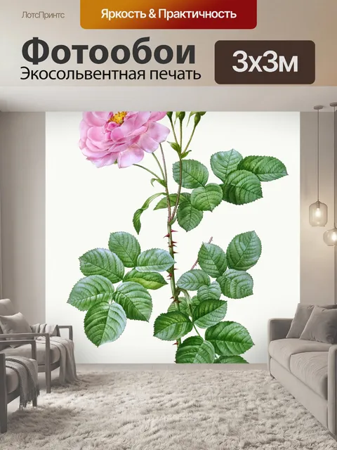 Фотообои Нарисованный цветок розы