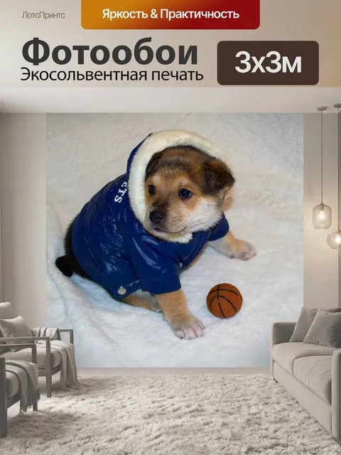 Фотообои Собака