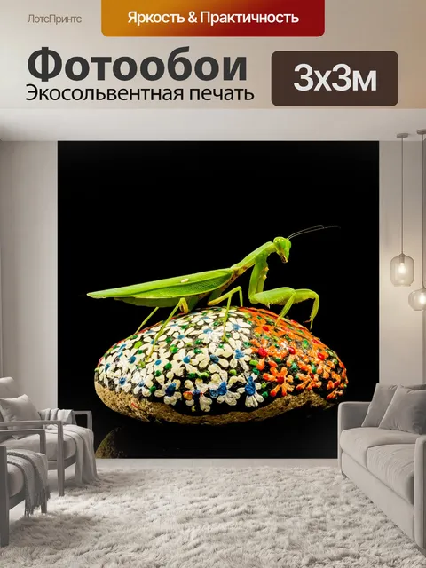 Фотообои Богомол