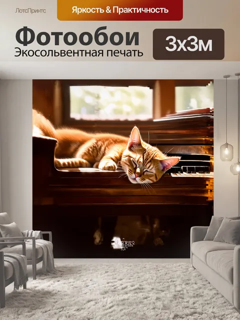 Фотообои сонный рыжий кот свернулся в солнечном луче на старом пианино