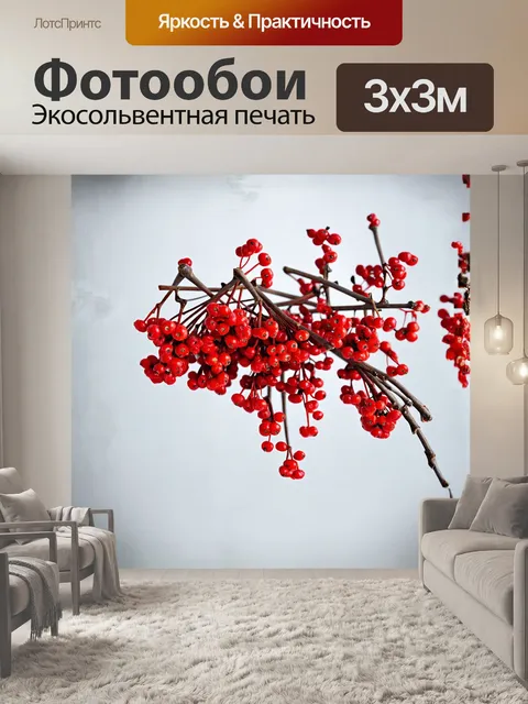 Фотообои гроздья красной рябины