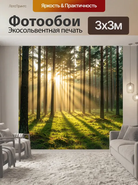 Фотообои Сосновый лес в солнечных лучах