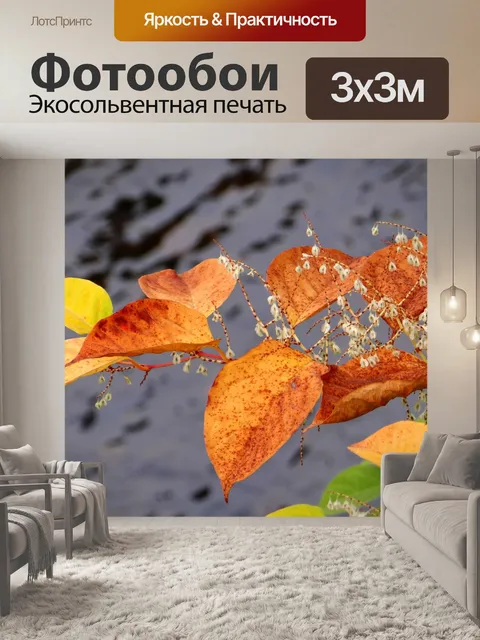 Фотообои Осенние листья