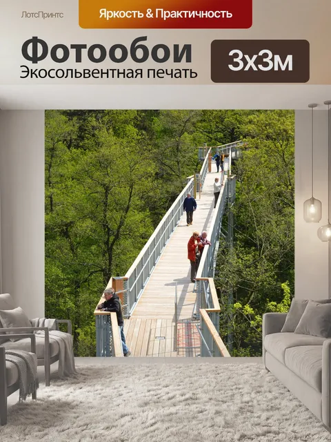 Фотообои Тропинка на верхушках деревьев