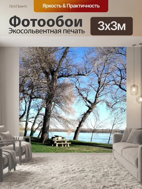 Фотообои Деревья