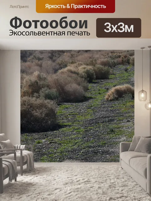 Фотообои Придорожные Перекати-поле